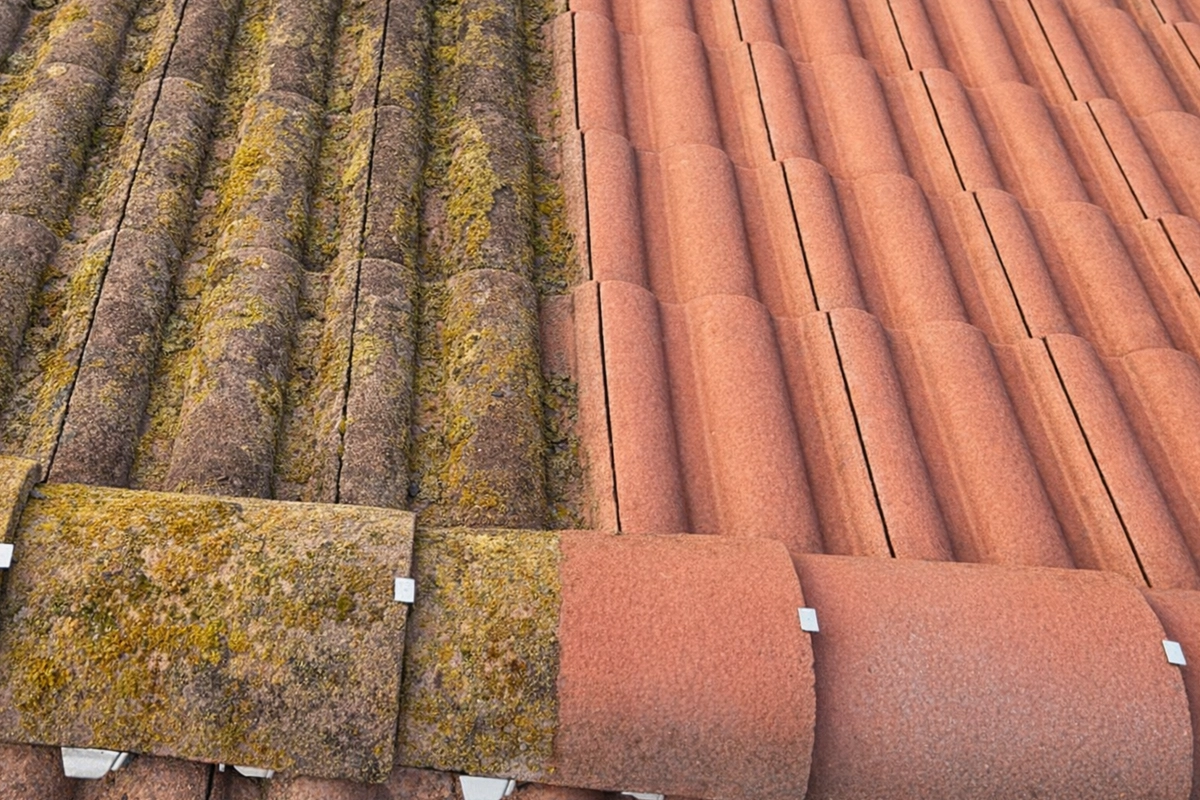 démoussage toiture niort après nettoyage