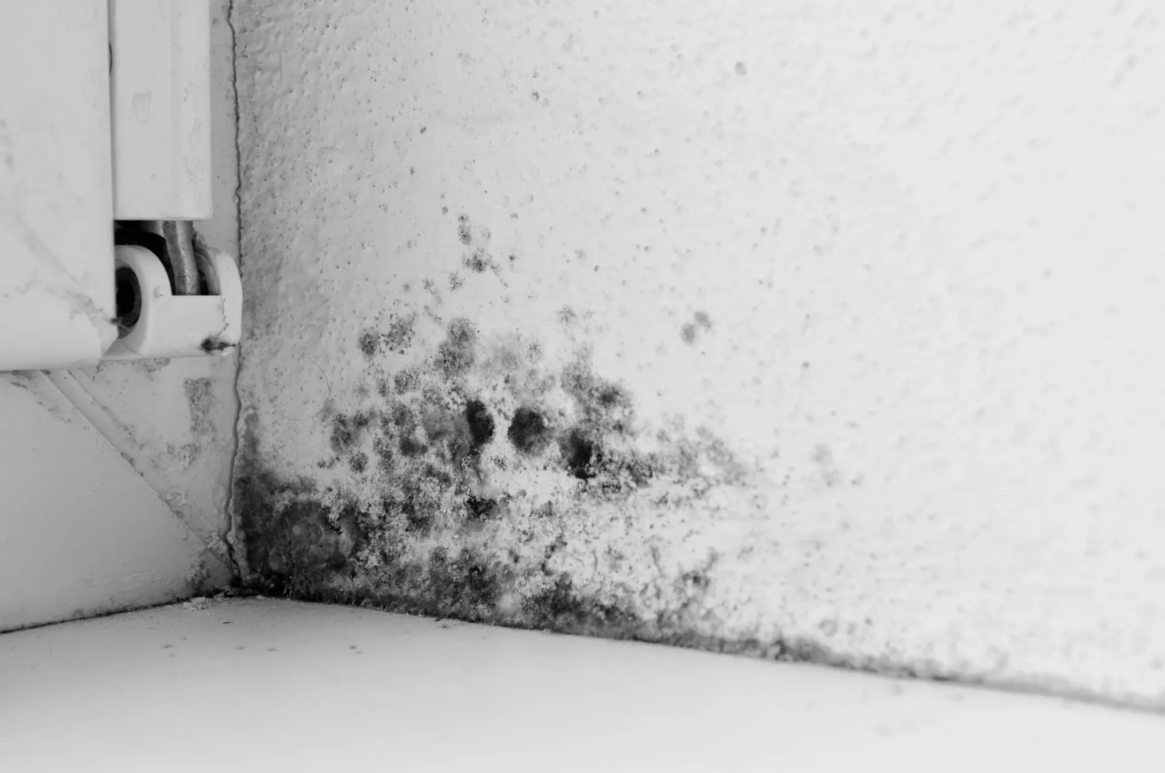 assèchement des murs en Deux-Sèvres à Niort, Thouars....