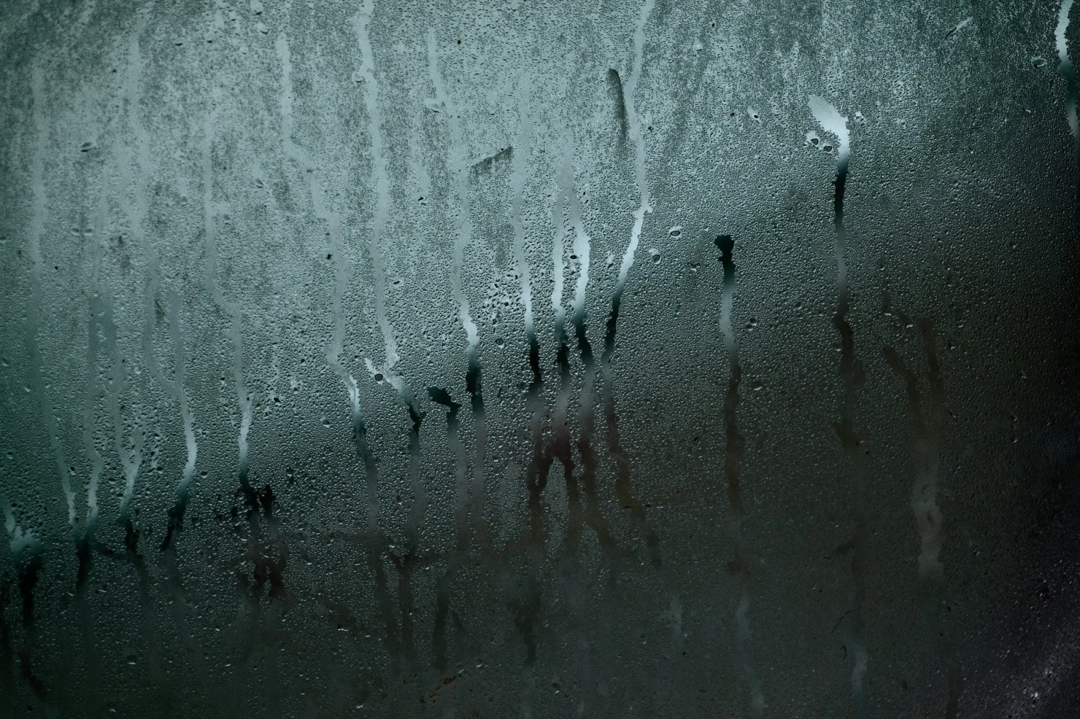 Traitement humidité condensation, moisissure...