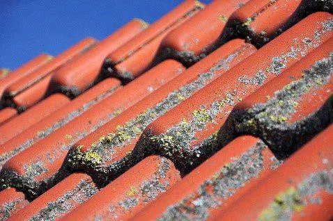 Nettoyage toiture deux sèvres: niort, thouras...